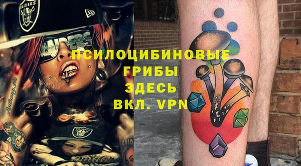 винт Абаза