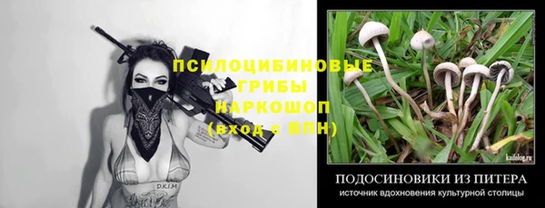 spice Абинск