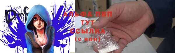 винт Абаза